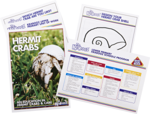 Krabooz Schools Curriculum