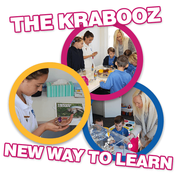 The Krabooz - New way to learn