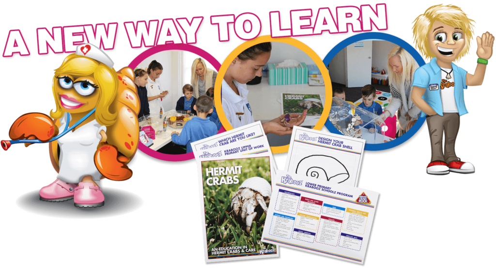 Krabooz - A new way to learn